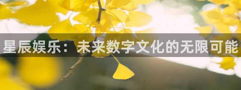 888贵宾会官网：星辰娱乐：未来数字文化的无限可能