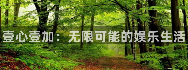 888贵宾会官网：壹心壹加：无限可能的娱乐生活