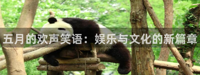 888贵宾会官网：五月的欢声笑语：娱乐与文化的新篇章