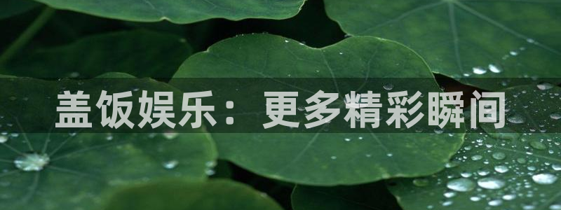 888贵宾会官网：盖饭娱乐：更多精彩瞬间