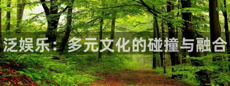 888贵宾会官网：泛娱乐：多元文化的碰撞与融合