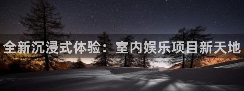 888贵宾会官网：全新沉浸式体验：室内娱乐项目新天地