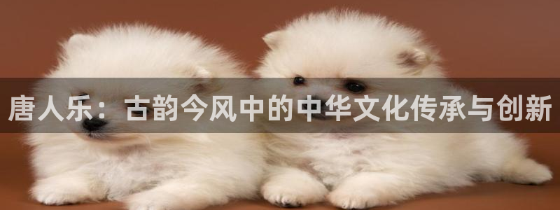 888贵宾会官网：唐人乐：古韵今风中的中华文化传承与创新