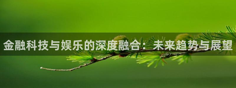 888贵宾会官网：金融科技与娱乐的深度融合：未来趋势与展望
