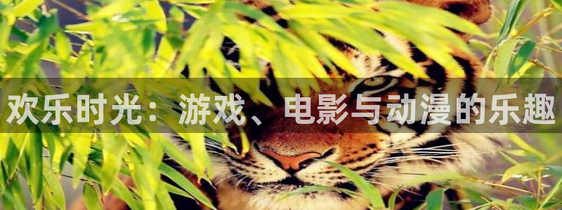 888贵宾会官网：欢乐时光：游戏、电影与动漫的乐趣