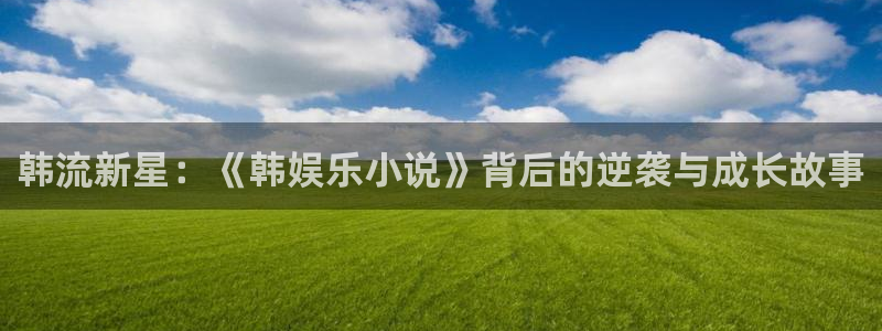 888贵宾会官网：韩流新星：《韩娱乐小说》背后的逆袭与成长故事