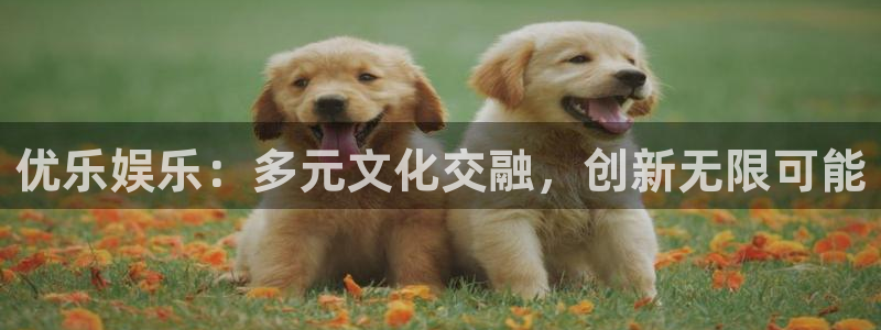 888贵宾会官网：优乐娱乐：多元文化交融，创新无限可能